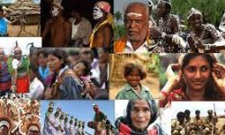 tribes in india